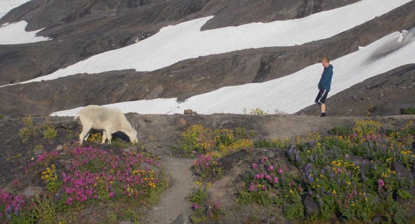 mountaineering lessons